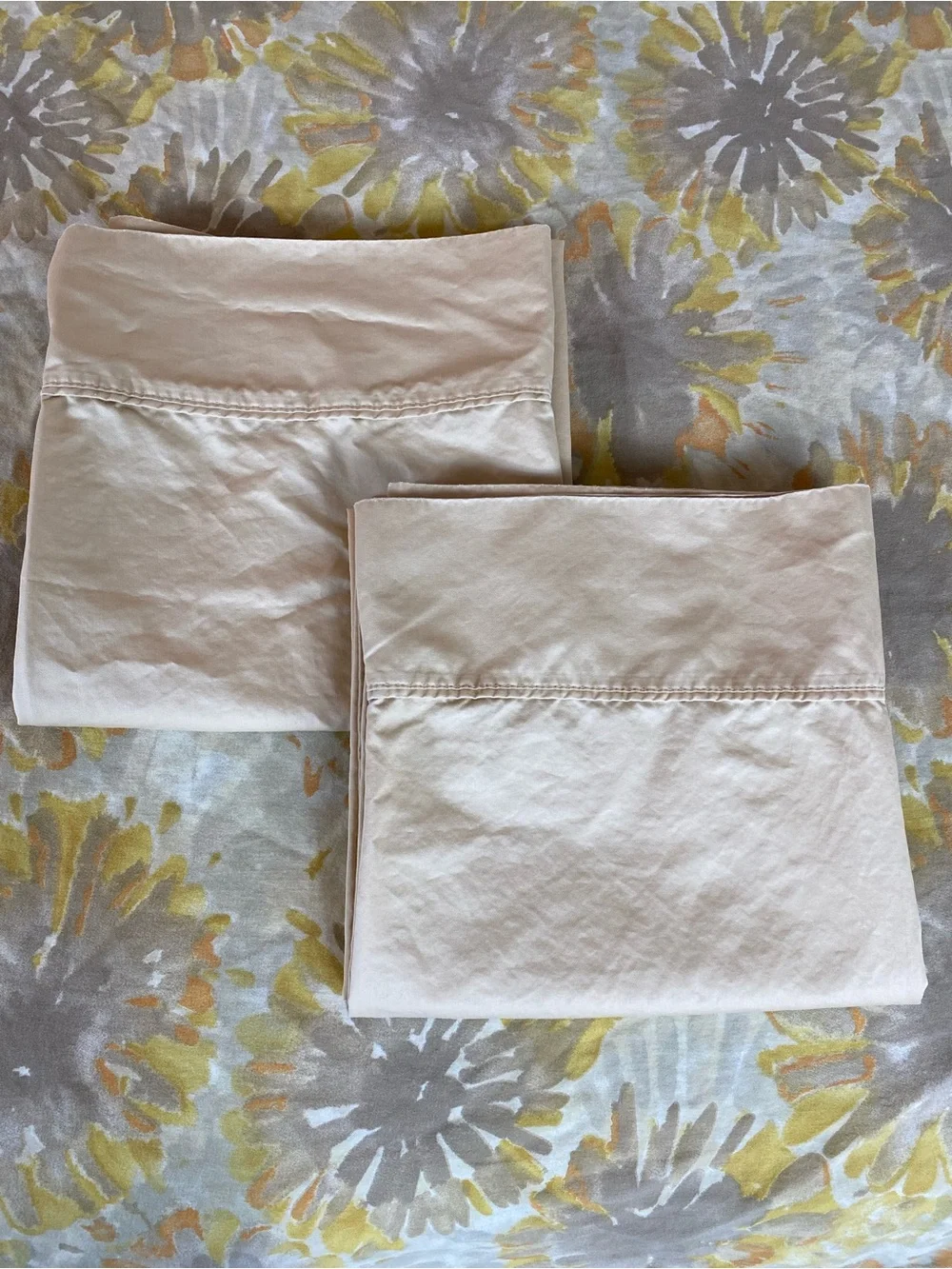 Egyptain Cotton King Pillowcases 2 Beige